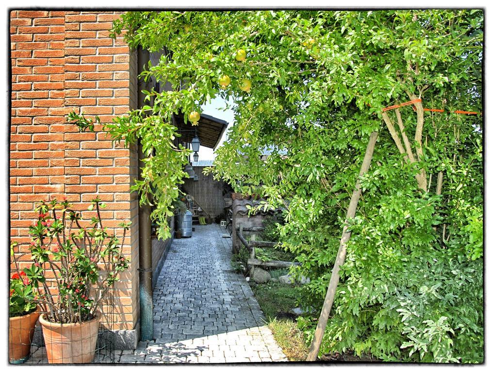 La Corte Del Macero Castelfranco Emilia Ngoại thất bức ảnh