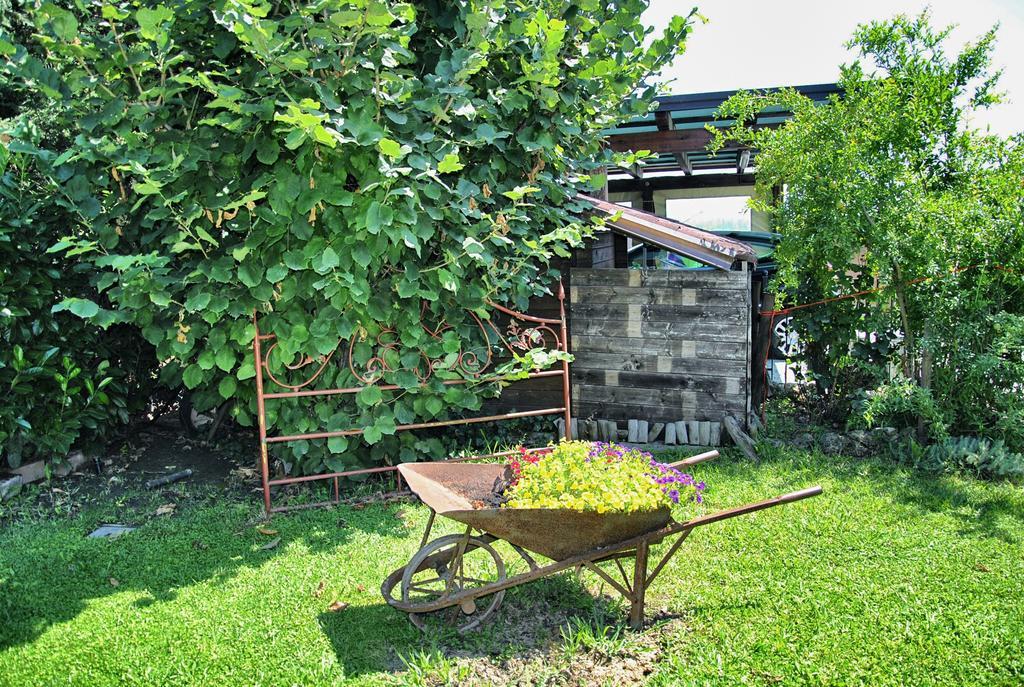 La Corte Del Macero Castelfranco Emilia Ngoại thất bức ảnh